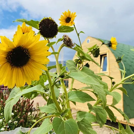 Apartmán Lykke Piscina Y Jardin By Deihu Experiences *