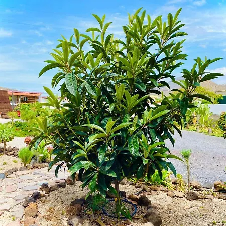 Apartmán Lykke Piscina Y Jardin By Deihu Experiences *