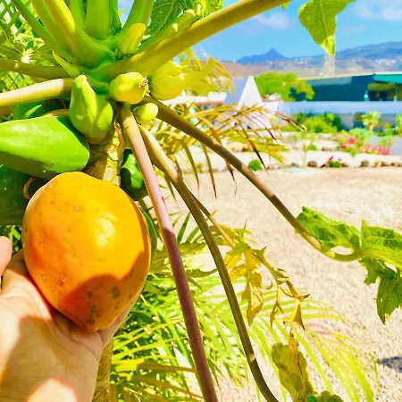 Apartmán Lykke Piscina Y Jardin By Deihu Experiences *