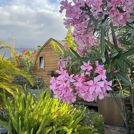 Lykke Piscina Y Jardin By Deihu Experiences Buzanada