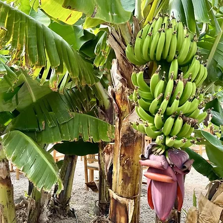 Apartmán Lykke Piscina Y Jardin By Deihu Experiences