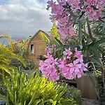Lykke Piscina Y Jardin By Deihu Experiences Бусанада