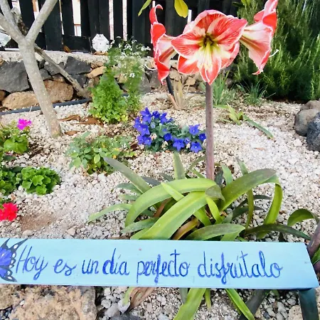 Lykke Sauna Piscina Y Jardin Casa vacanze