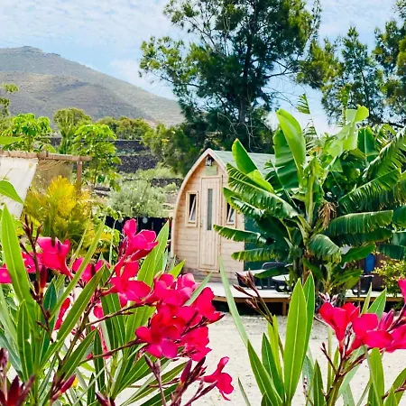 Casa vacanze Lykke Sauna Piscina Y Jardin