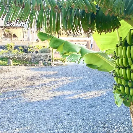 Lykke Piscina Y Jardin By Deihu Experiences Appartement Buzanada