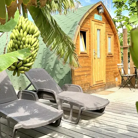 Lykke Sauna Piscina Y Jardin Casa vacanze Buzanada