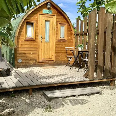 Casa vacanze Lykke Sauna Piscina Y Jardin Buzanada