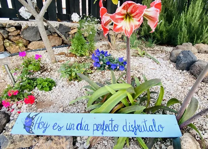 Lykke Piscina Y Jardin By Deihu Experiences Apartament