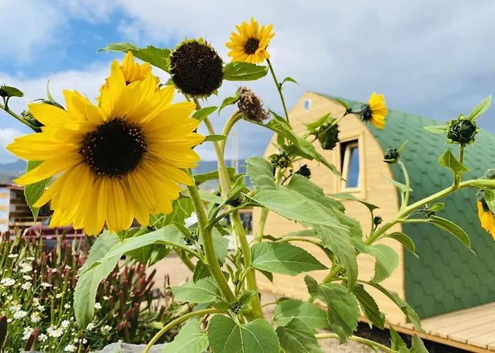 Apartament Lykke Piscina Y Jardin By Deihu Experiences *