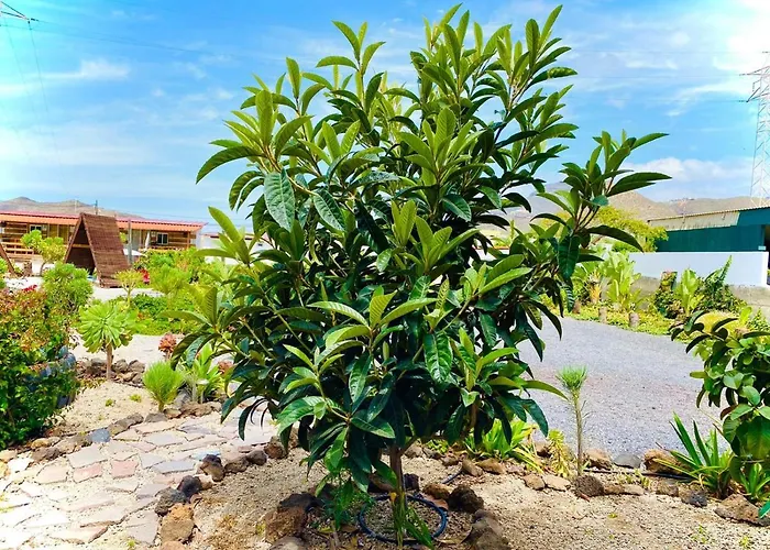 Apartament Lykke Piscina Y Jardin By Deihu Experiences *