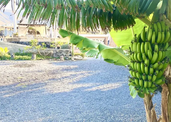 Lykke Piscina Y Jardin By Deihu Experiences Lägenhet Buzanada