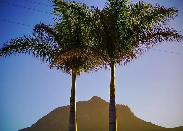 Lägenhet Lykke Piscina Y Jardin By Deihu Experiences *