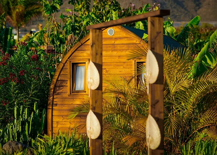 Lägenhet Lykke Piscina Y Jardin By Deihu Experiences Buzanada