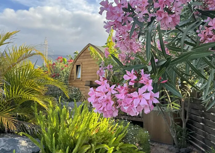 Lykke Piscina Y Jardin By Deihu Experiences Buzanada