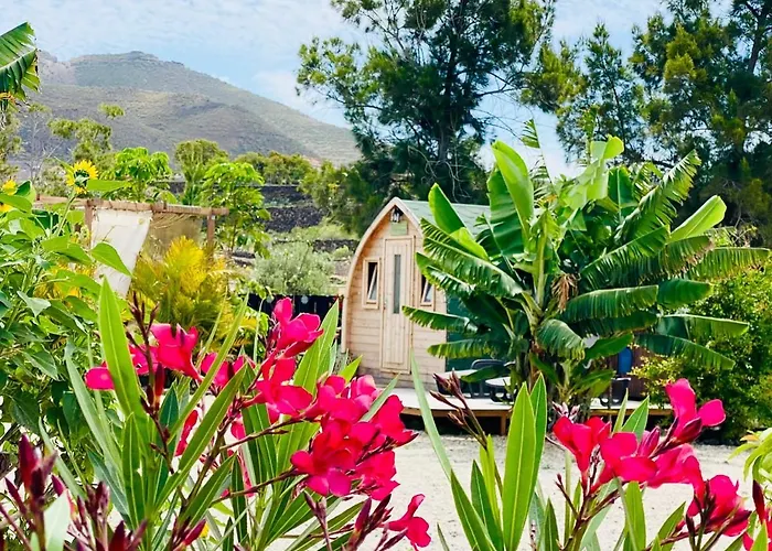 Daire Lykke Piscina Y Jardin By Deihu Experiences