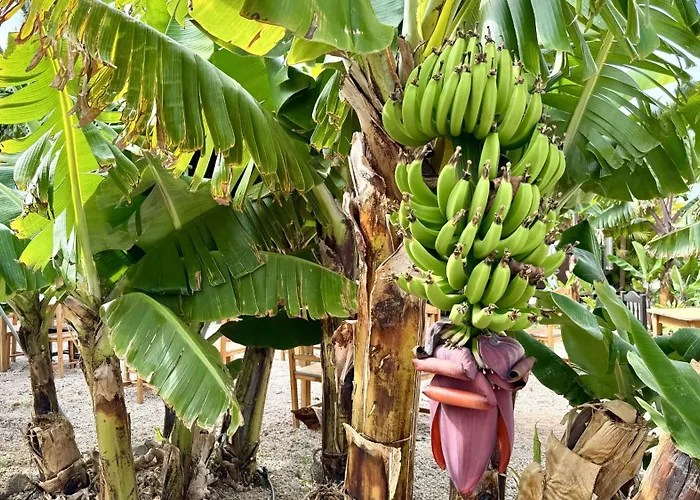 Apartment Lykke Piscina Y Jardin By Deihu Experiences