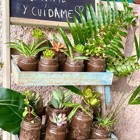 Lykke Piscina Y Jardin By Deihu Experiences Apartament Buzanada