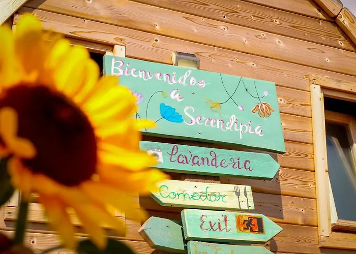 Lykke Piscina Y Jardin By Deihu Experiences * Buzanada