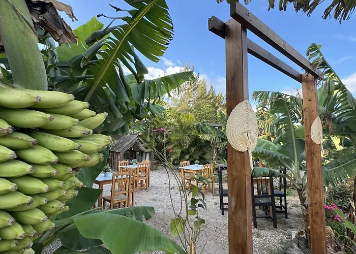 Lykke Piscina Y Jardin By Deihu Experiences Appartement